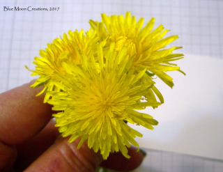 Stamping with Flowers Stamping with Flowers